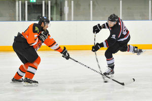 Pavlu patrolling the Tigers blue line. Pictures - Matt Giles