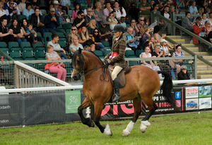 A horse and rider in the ridden classes is watched by the crowds. Image by Andy Compton