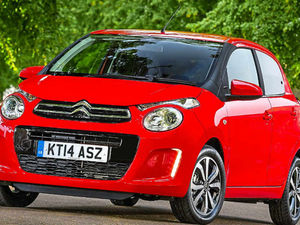 Supporting image for story: Cute little 'un from the French