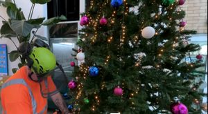 Dave hard at work on the Christmas tree