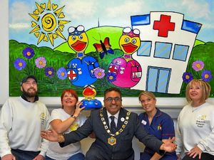 Supporting image for story: Quacking mural for young patients at Telford hospital - with video