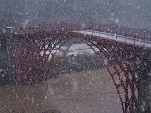 Supporting image for story: GALLERY: Your photos as snow falls across Shropshire
