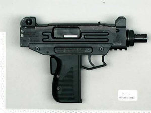 Supporting image for story: Dying for the Constitution