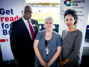 Supporting image for story: Hub help available to make Shropshire businesses stronger in 2020