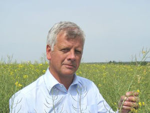 Supporting image for story: Winning methods in battle against take-all fungus