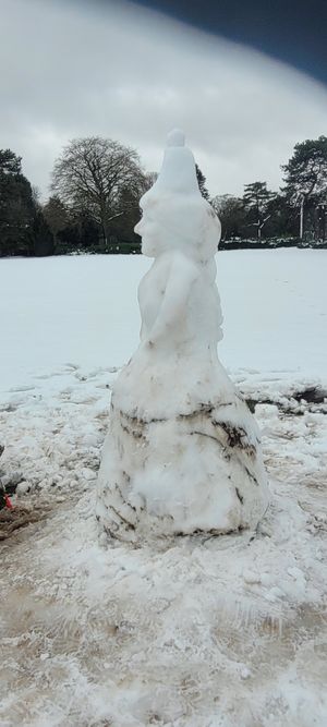 Side profile 09/01/2026