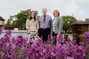 Supporting image for story