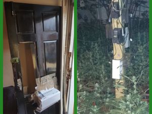 Supporting image for story: Arrests made as £700k cannabis factories found in Smethwick