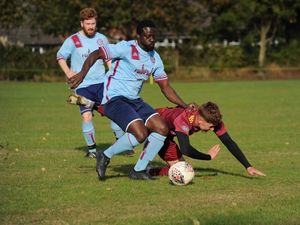 Supporting image for story: Hodnet go goal crazy