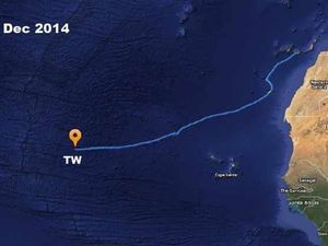 Supporting image for story: Rowing team battles on but hopes of a world record are sinking fast