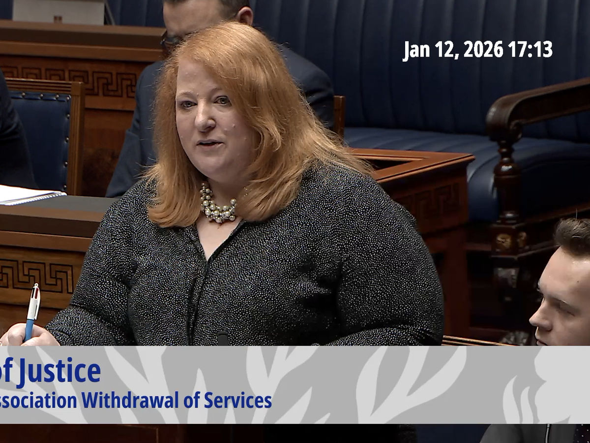 Victims of crime &lsquo;held to ransom&rsquo; by criminal Bar strike, Long says