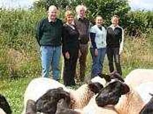 Supporting image for story: Choosing wisely will cut costs