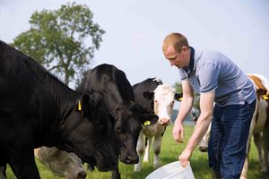 Supporting image for story: Lidl's five-year investment in British farming to reach £21 billion