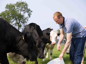Supporting image for story: Lidl's five-year investment in British farming to reach £21 billion