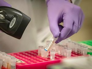 Supporting image for story: Blood plasma from Covid-19 survivors ‘improved symptoms of severely ill patients’