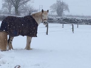 Taken in Pitchford by Joanne Davies