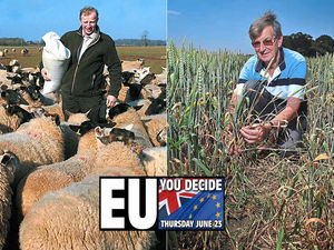 Supporting image for story: Special report: Shropshire farmers divided on Brexit