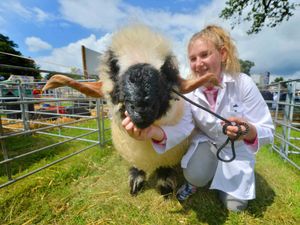 Supporting image for story: Burwarton Show boasts five-figure profit