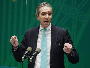 Supporting image for story: ‘Very serious red flags’ with Trump’s Board of Peace – Irish deputy premier