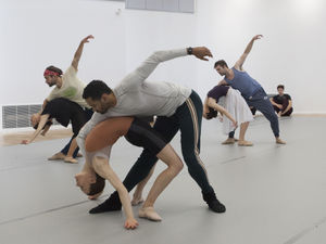 Supporting image for story: 'I hope other companies will sit up and take not': Birmingham Royal Ballet's A Brief Nostalgia coming to Hippodrome as part of new scheme