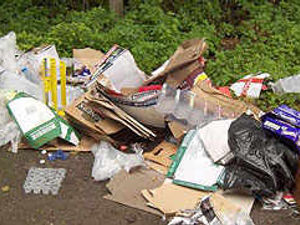 Supporting image for story: Rewards in fly-tip blitz