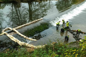 Supporting image for story: 'Fish pass' allows hundreds of trapped salmon to move upstream in Ludlow - video