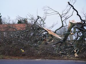 Supporting image for story: Rhodes on ignoring a storm and the enigma of care costs