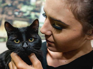 Supporting image for story: Probe after second Telford kitten is poisoned