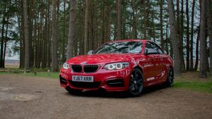 Supporting image for story