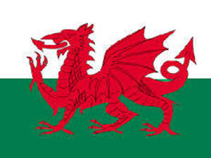 Supporting image for story: Wales' tourism sector had successful year, says survey