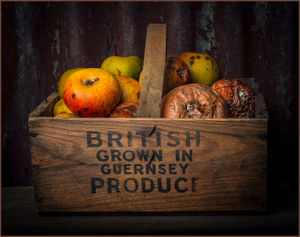 C. John Ridgway - British Produce Past Its Best