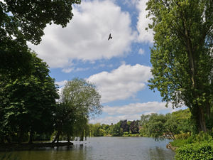 Supporting image for story: Weekend weather to be 'unseasonably warm' for Wolverhampton, Black Country and Staffordshire