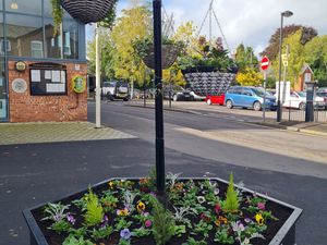 Supporting image for story: Market Drayton in Bloom 2025: How to enter, categories, prizes dates and more