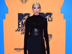 Supporting image for story