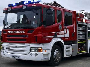 Supporting image for story: Fire crews called to rescue a dog in the water in Bridgnorth