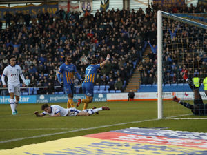 Supporting image for story: Shrewsbury Town 1 Oldham 0 - Report and pictures 