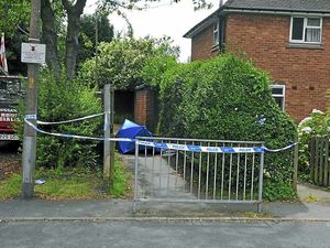 Supporting image for story: Closure plea fails on Shane Watson attack alleyway