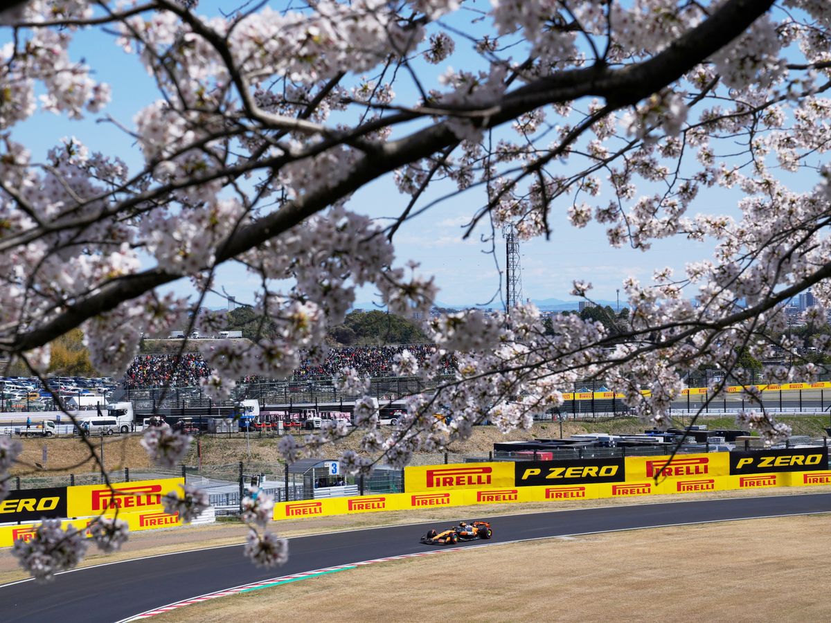 Grass fires again disrupt Japanese Grand Prix practice as Lando Norris sets pace