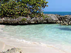 Supporting image for story: What credit crunch?