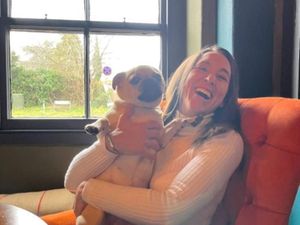 Supporting image for story: Student accused of beach murder told police he ‘blacked out’, court told