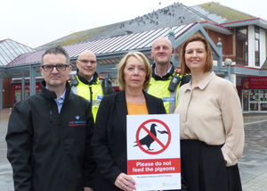 Feeding pigeons in West Bromwich could be an expensive mistake