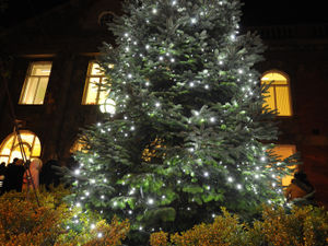 Supporting image for story: Bah humbug! Christmas tree cash cap after 'ridiculous' £6k overspend