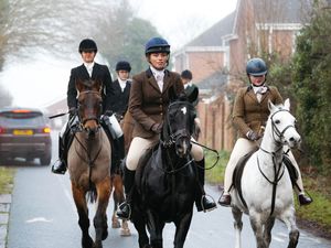 Supporting image for story: Shropshire Boxing Day hunt to take place this year as Labour prepares for ban consultation in the New Year