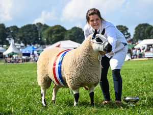 Supporting image for story: Kington Show set to bring in crowds