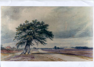 The unsigned watercolour painting of Prees Heath? The painting shows the A49 road with a notable tree on one side and a large expanse of heathland on the other.