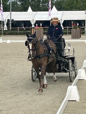 Deborah now dreams of making one last apperance for the world championships this year