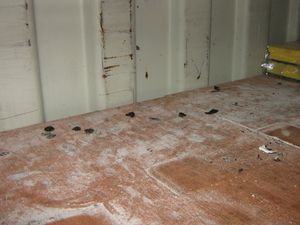 Rat droppings in the shipping container. Credit @SandwellCouncil