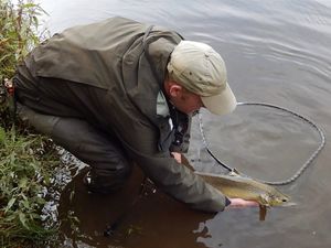 Supporting image for story: Fishermen must throw back salmon caught in the River Severn
