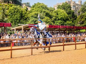 Supporting image for story: Review: Warwick Castle, War of the Roses, Live!  