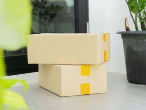 Supporting image for story: Parcel problems reach record as 15 million people are let down on the doorstep